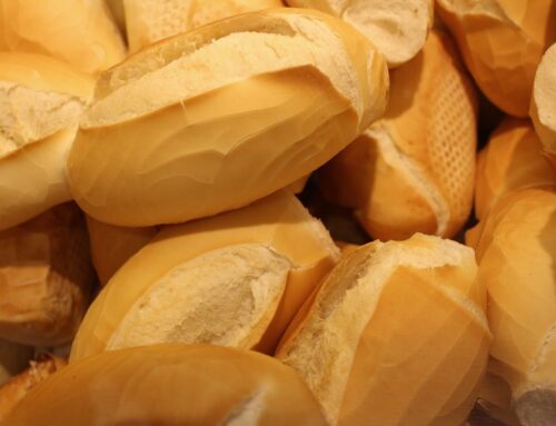 Mitos e verdades sobre o pão branco e o pão integral, entenda a diferença